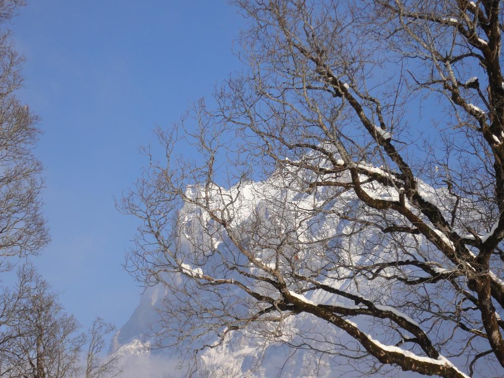 Lehmann'S Herberge Hostel Grindelwald Rum bild