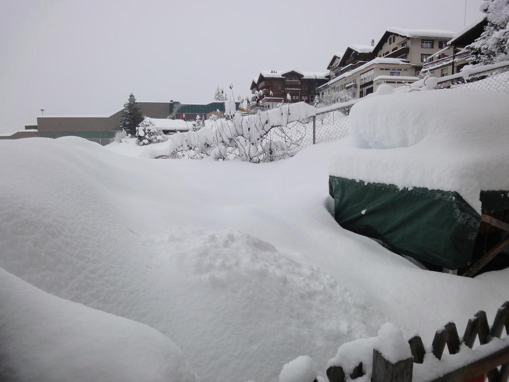 Lehmann'S Herberge Hostel Grindelwald Exteriör bild