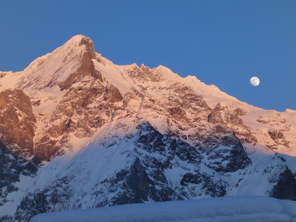 Lehmann'S Herberge Hostel Grindelwald Exteriör bild