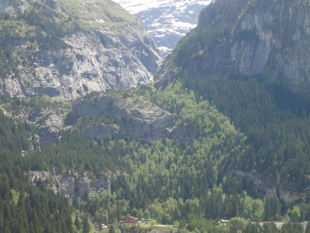 Lehmann'S Herberge Hostel Grindelwald Exteriör bild